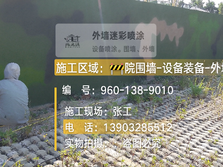 三沙外墙迷彩漆材料价约 45-60 元 /k